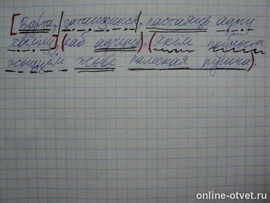 Изображение к ответу
