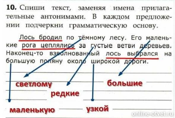 Изображение к ответу