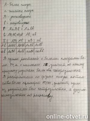Изображение к ответу