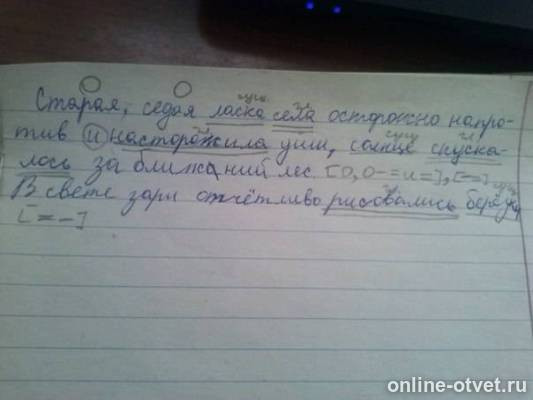 Изображение к ответу