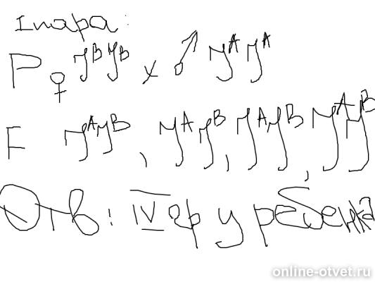 Изображение к ответу