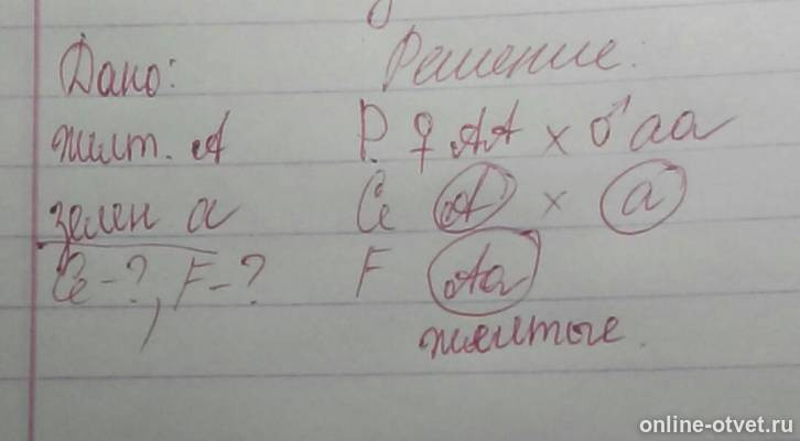 Изображение к ответу