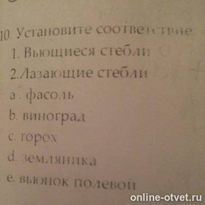 Изображение к вопросу