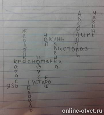 Изображение к ответу