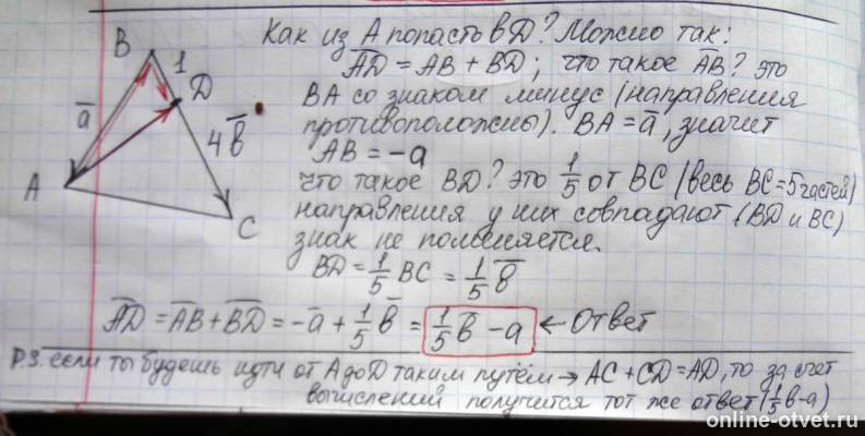 Изображение к ответу