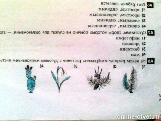 Изображение к вопросу