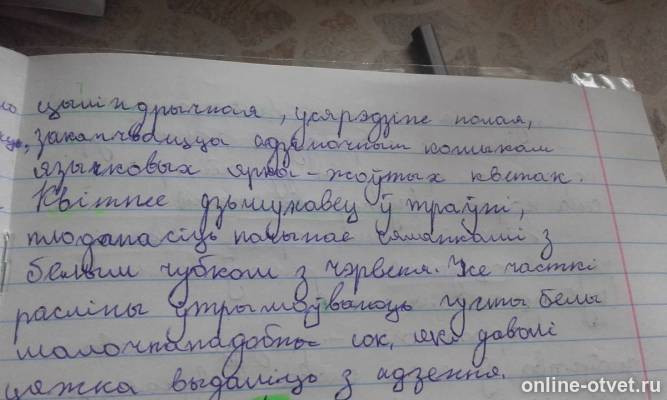 Изображение к ответу