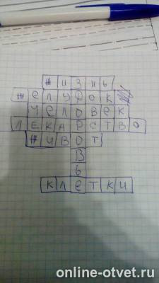 Изображение к ответу