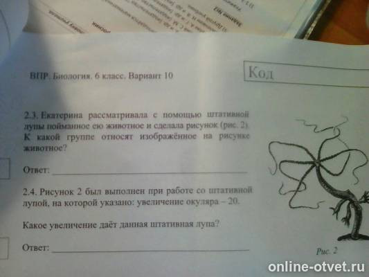 Изображение к вопросу