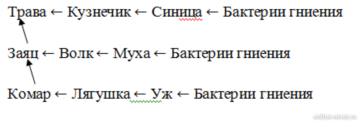 Из предложенного списка составить трофическую сеть
