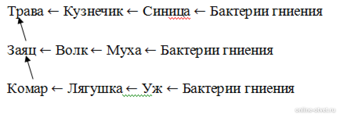 Бактерии гниения лось ель заяц волк лиственница. Трава заяц волк бактерии гниения. Трофическая сеть трава ягодный. Ягодный кустарник цепь питания. Трофическая сеть трава ягодный кустарник Муха синица.