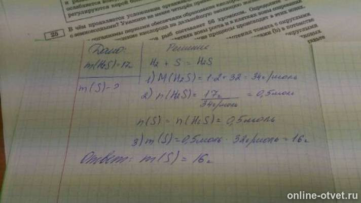 Изображение к ответу