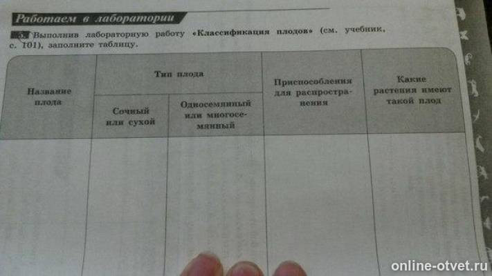 Биология 6 класс параграф 13 таблица плоды. Выполните лабораторную работу классификация плодов. Выполнив лабораторную работу классификация плодов. Классификация плодов 6 класс биология таблица лабораторная работа. Заполнить таблицу "плоды".