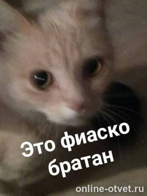 Изображение к ответу