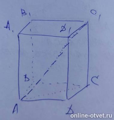 Изображение к ответу