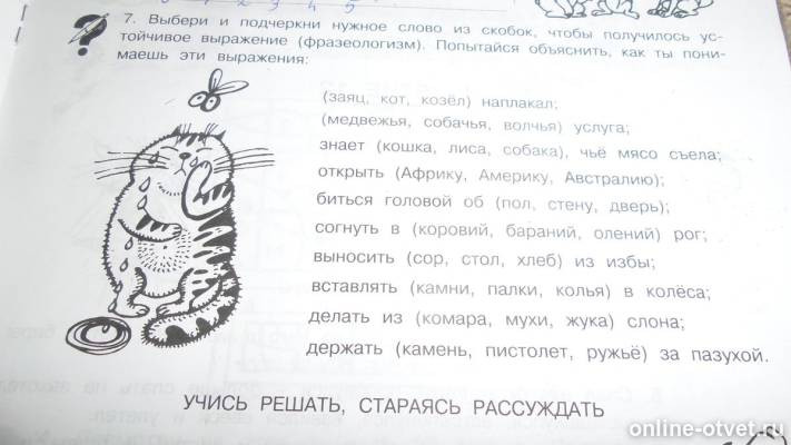 Изображение к вопросу