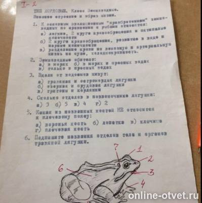 Изображение к вопросу