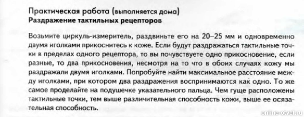 Лабораторная работа самонаблюдение штриховое раздражение кожи. Практическая работа раздражение тактильных рецепторов. практическая работа раздражение тактильных рецепторов биология. исследование тактильных рецепторов вывод. раздражение тактильных рецепторов вывод.