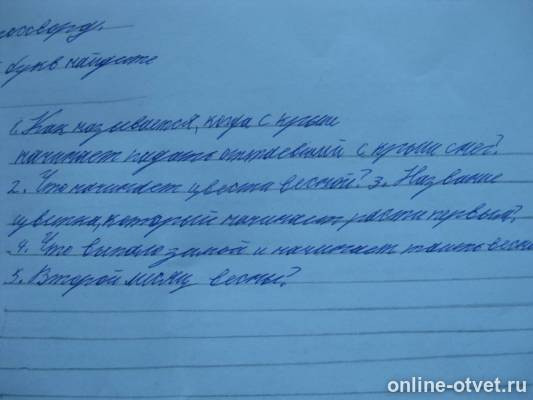Изображение к ответу