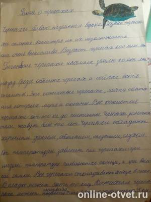 Изображение к ответу
