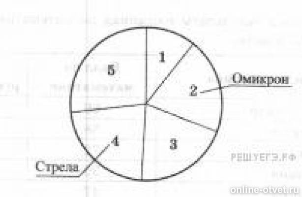 на острове черепах есть 5 авиакомпаний. задание в северной долине есть пять авиакомпаний. в северной долине есть пять авиакомпаний. в северной долине есть пять авиакомпаний. северной долине есть 5 авиакомпаний стрела омикрон компас.