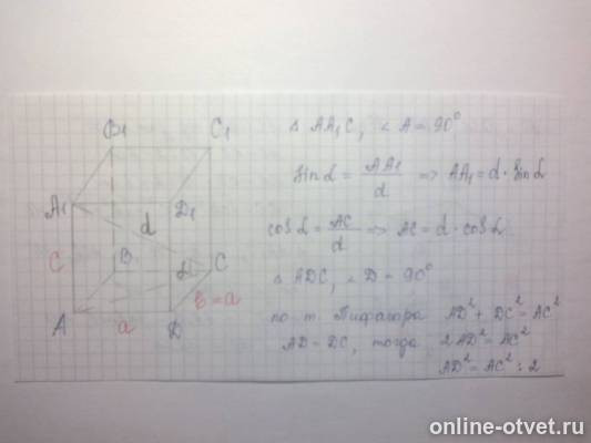 Изображение к ответу