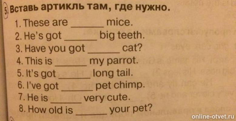 Вставь пропущенные слова. Вставь его полностью. Текст с пропусками слов. Вставь пропущенные буквы 2 класс русский язык. Текст вставить пропущенные буквы 2 класс по русскому языку карточки.