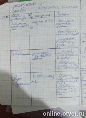 Изображение к ответу