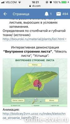 Изображение к ответу