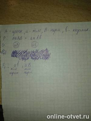 Изображение к ответу