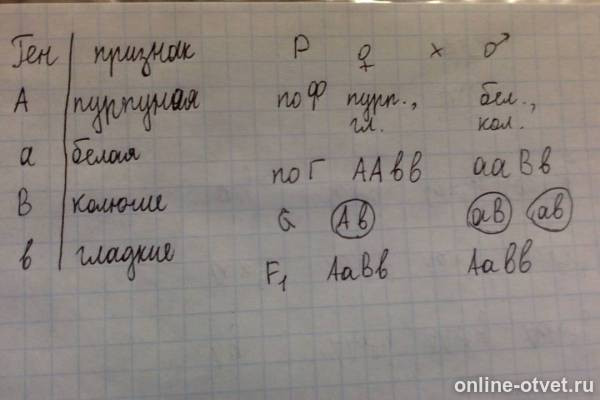 Изображение к ответу