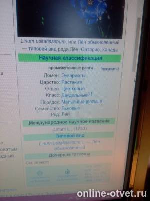 Изображение к ответу