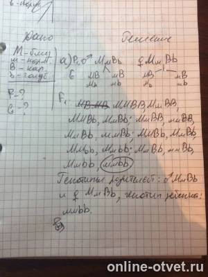 Изображение к ответу