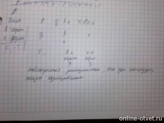 Изображение к ответу