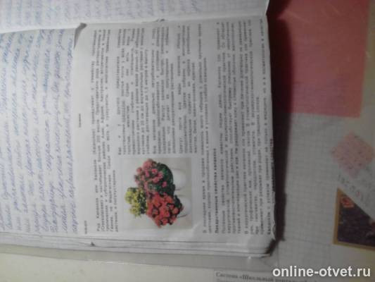 Изображение к ответу