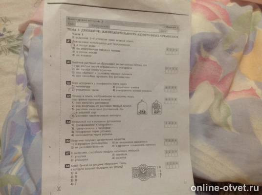 Изображение к вопросу