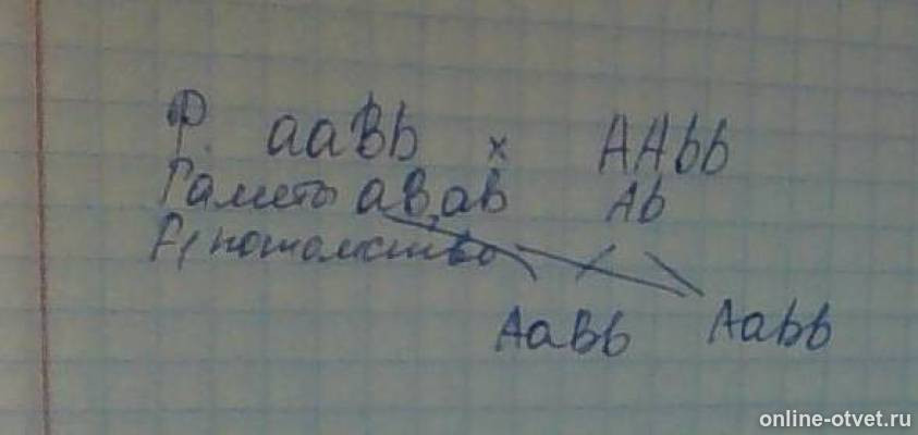 Изображение к ответу