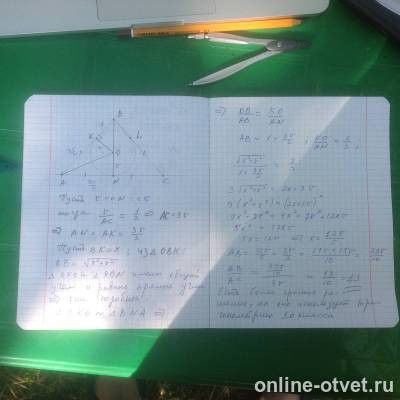 Изображение к ответу