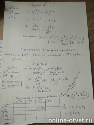 Изображение к ответу