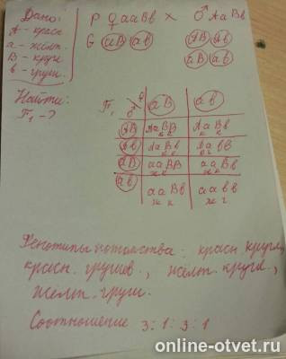 Изображение к ответу