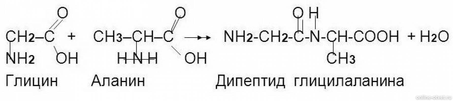 Гидролиз глицилаланина. Формула дипептида глицина. Ch2nh2cooh аланин. Дипептиды формула глициналанин. Глицин и аланин реакция.