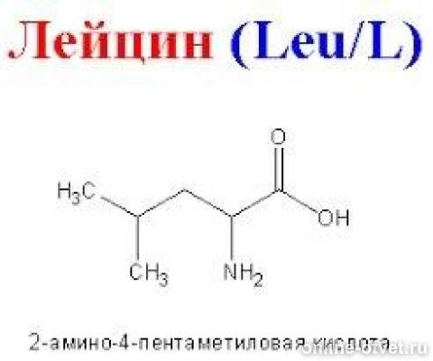 Лей аминокислота. Структурная формула лейцина. Лейцин формула. Лейцин структурная формула. Л лейцин формула.