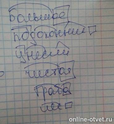 Изображение к ответу