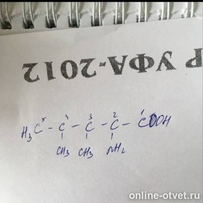 Изображение к ответу
