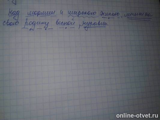 Изображение к ответу