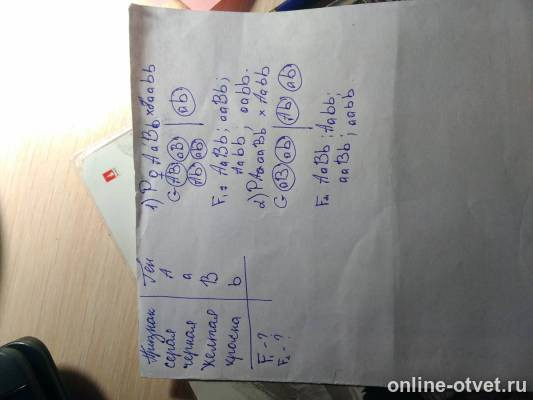 Изображение к ответу