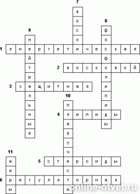 Изображение к ответу