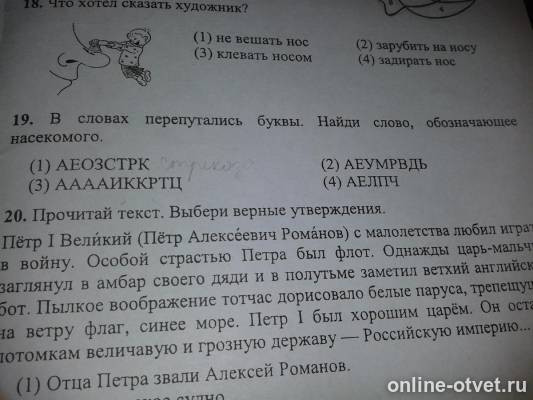 Изображение к вопросу