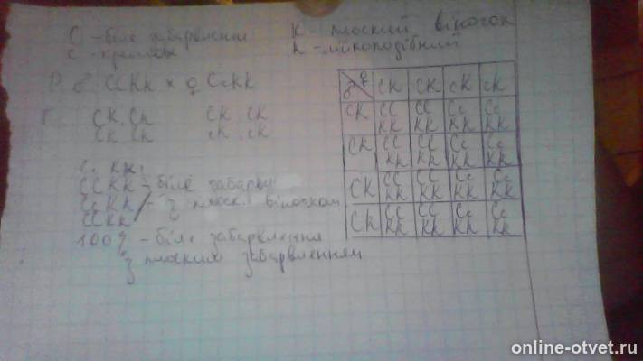 Изображение к ответу