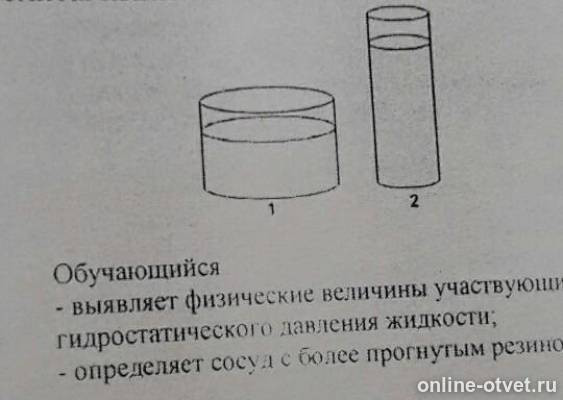 В два сосуда показанные на рисунке. В три сосуда показанных на рисунке. В два сосуда показанные на рисунке налили по 1 л воды. В 2 сосуда показанные на рисунке налили по 1 литру воды.